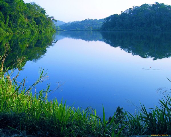 Гладь пруда