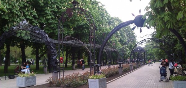 Парк кованых фигур ночью Донецк