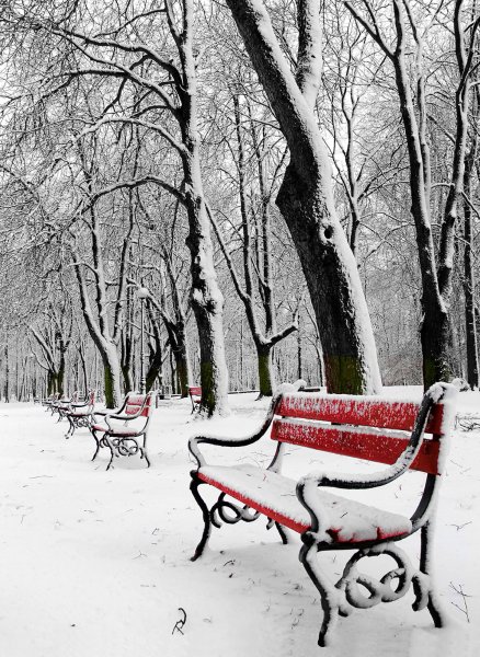 Зимний парк