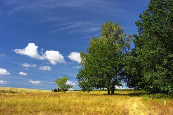 Конец августа природа