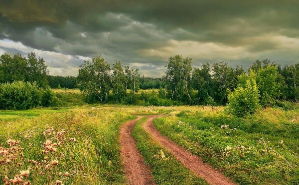 Пасмурный летний день