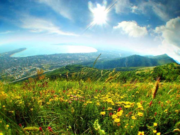 Солнечного июньского дня