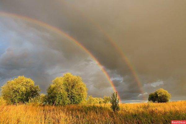 Дождливый август