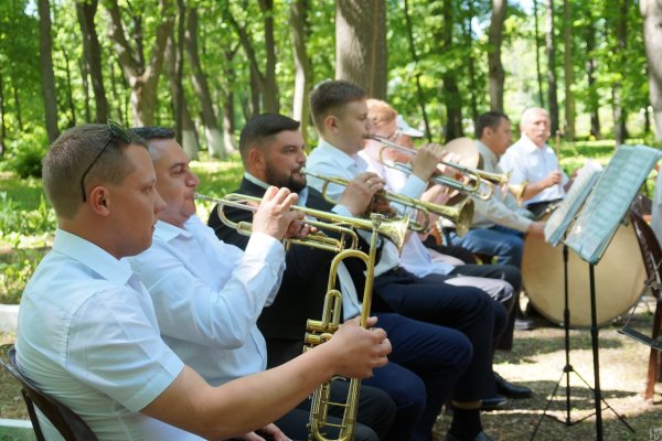 Оркестр в парке