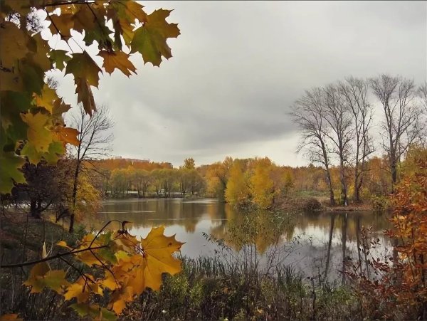 Осень в ЦПКИО Рязань