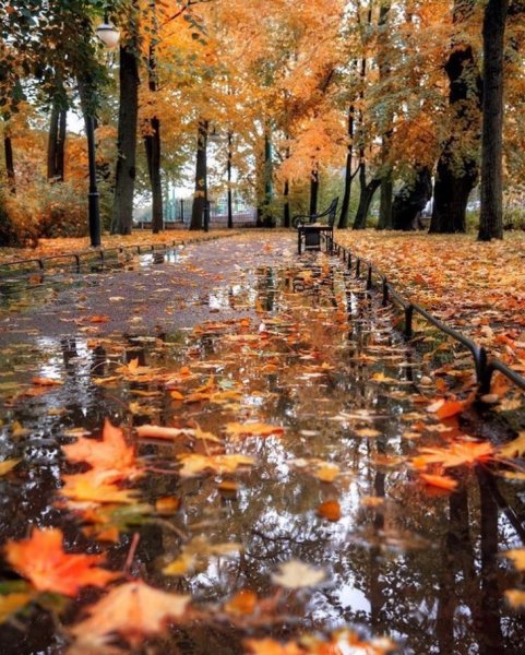 Дождливая осень