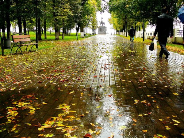 Осенний дождик