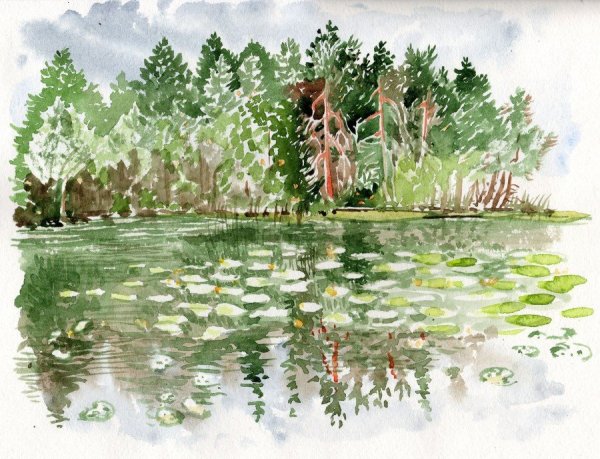 Художник Холодовский Михаил болото