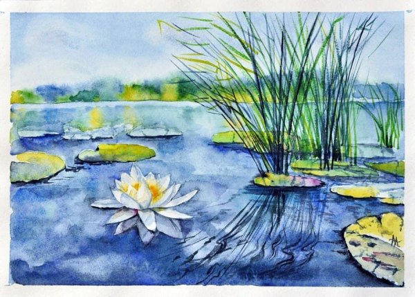 Пруд акварелью