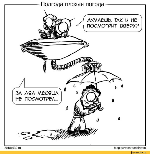 Полгода плохая