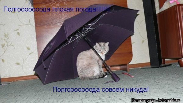 Полгода плохая погода полгода совсем никуда