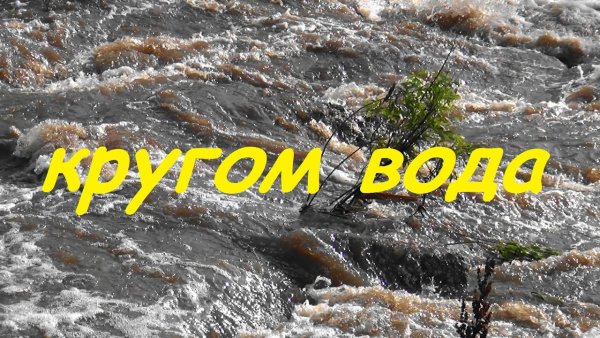 Полгода плохая погода