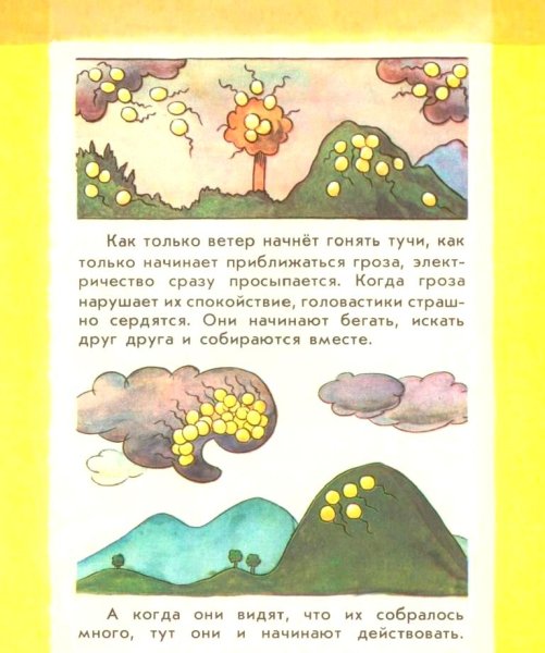 Секора Ондржей бабочки и жуки