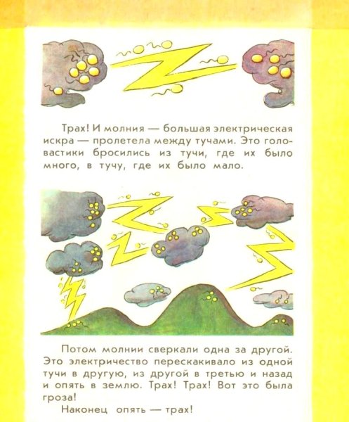 Секора для дерева