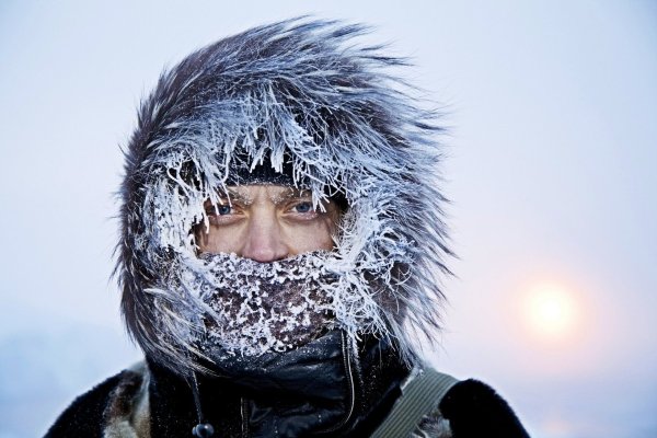 Человек в снегу