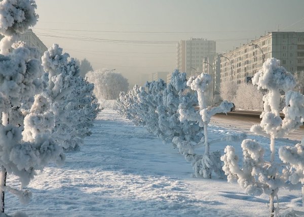 Холодная зима