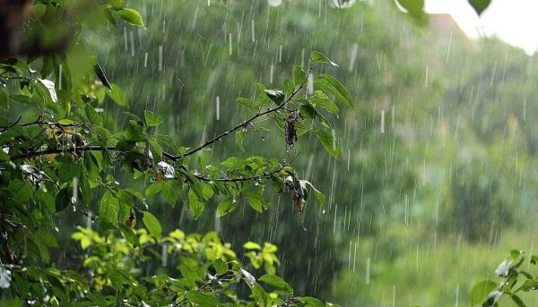 Летний дождь