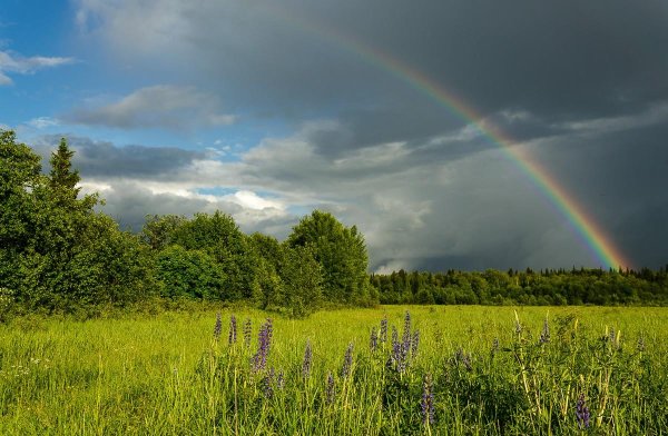 После грозы