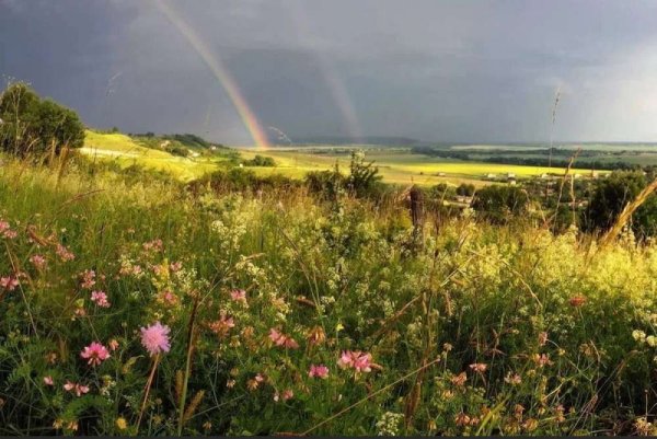 Жаркий летний день в деревне