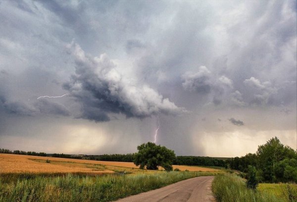 Гроза с дождем летом