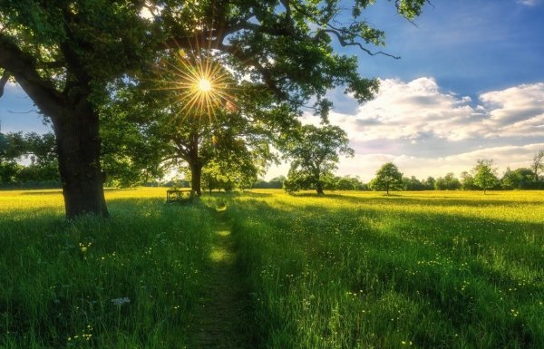 Солнечный пейзаж