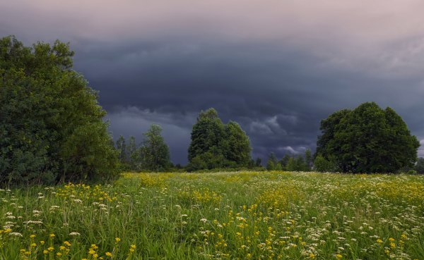 Перед грозой