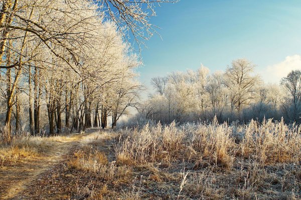 Поздняя осень солнечно