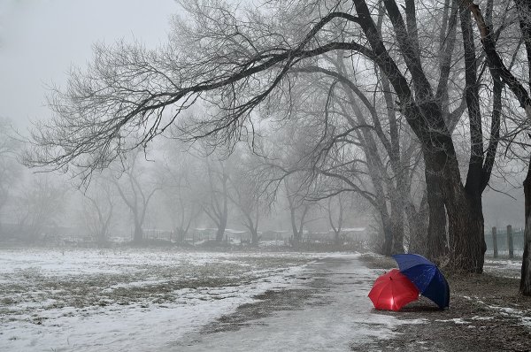 Холодный ноябрь