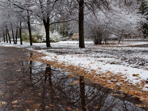 Снег осенью