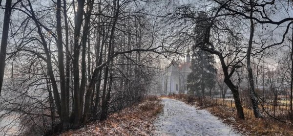 Седьмая фаза ‒ поздняя осень (ноябрь - декабрь).