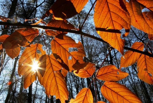 Теплая поздняя осень