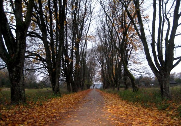 Природа в конце октября