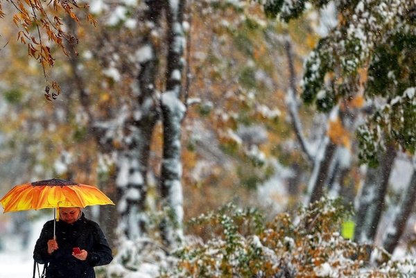 Снег с дождем осенью