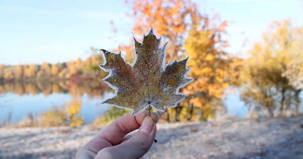 Холодно осенью