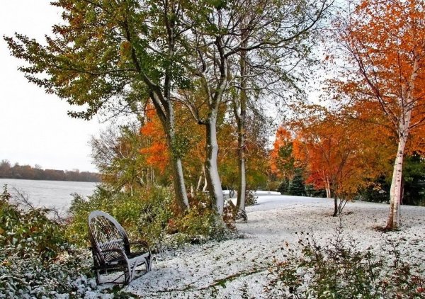 Ранняя зима