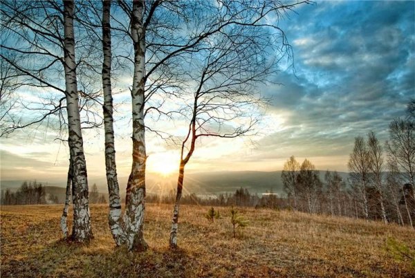 Природа в конце октября