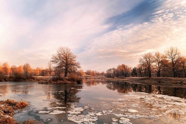 Ноябрьский пейзаж