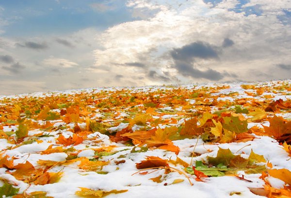 Ноябрь природа Казахстан