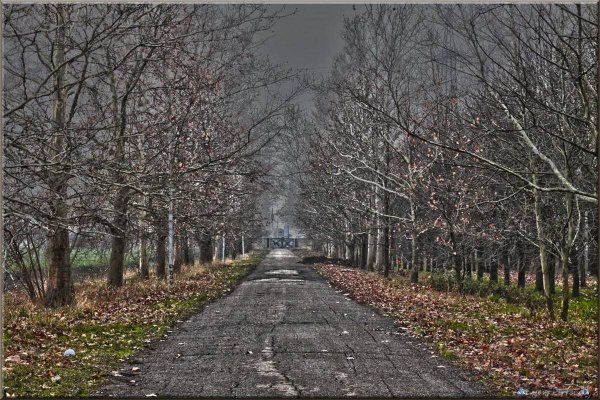 Декабрь без снега