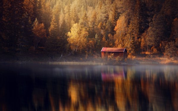 Одинокий дом в лесу