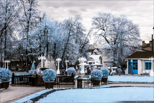 Сад Эрмитаж в Москве зимой