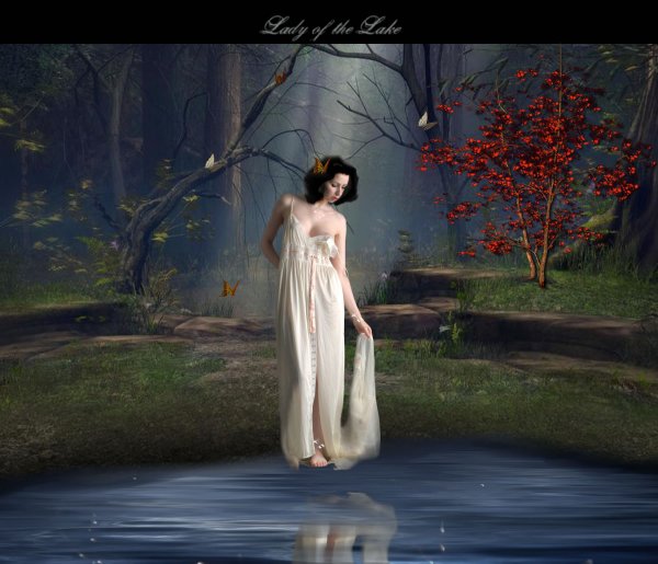 Нимуэ Ведьмак арт