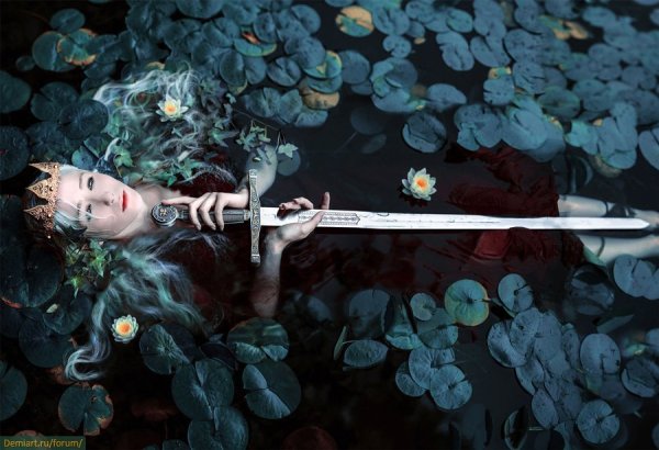 Фотограф Kindra Nikole