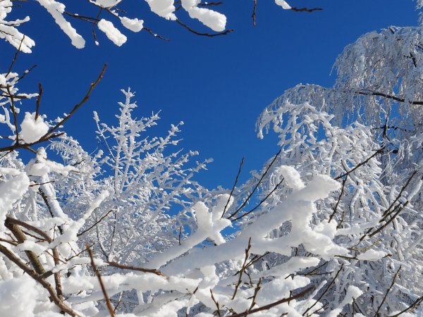 Холод снег