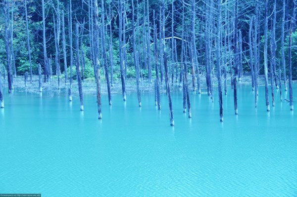 Голубой пруд Биэй на острове Хоккайдо