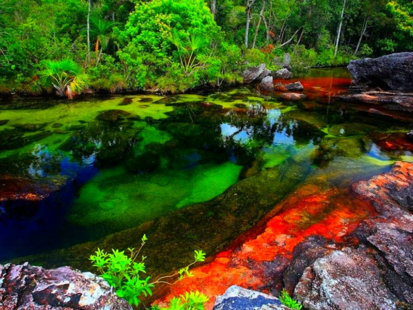 Река Каньо-Кристалес Колумбия