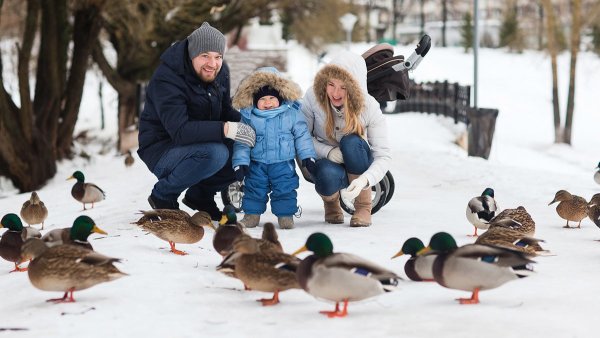 Прогулка в парке зимой с детьми