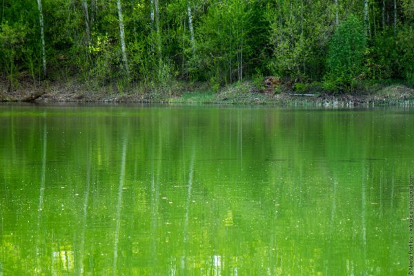 Озеро каракуль Татарстан