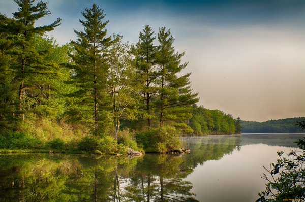 Озеро Лесное Татарстан