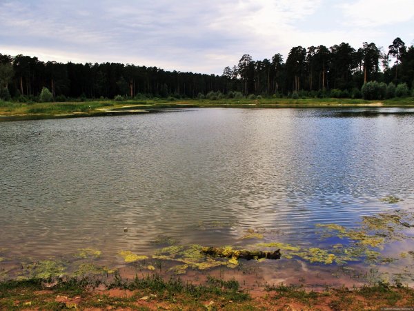 Струги красные черное озеро